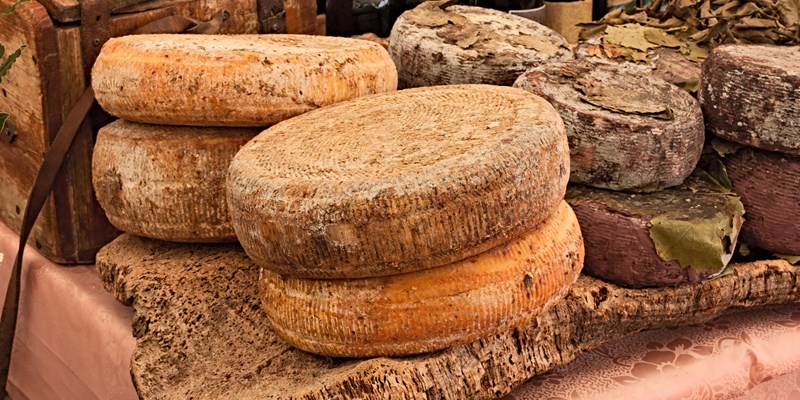 ripe sheep's milk cheese on a piece of cork and bottles of Italian wine in background - traditional artisan food product from Sardinia, Italy